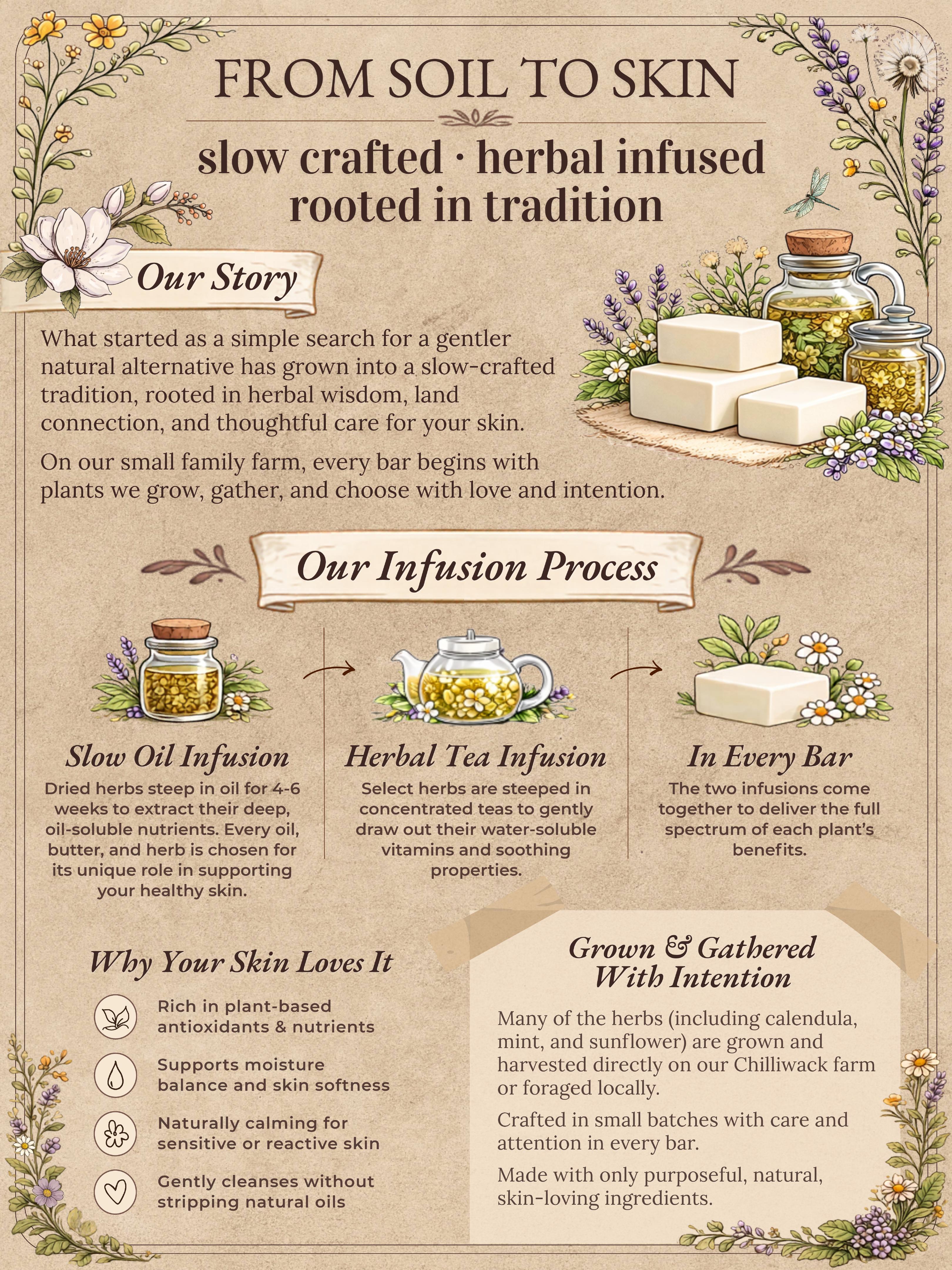 Magnolia Grove Botanicals — Rebrand — image 2